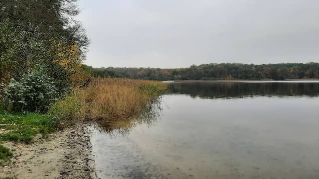 Aussichtspunkt Seddiner See - Image 1