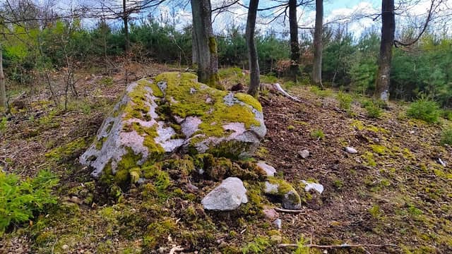 MZDOWO, głaz narzutowy - Image 1