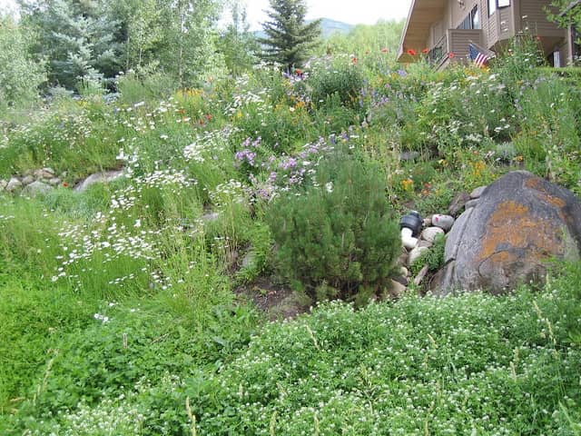 Rio Grande Trail - Image 3