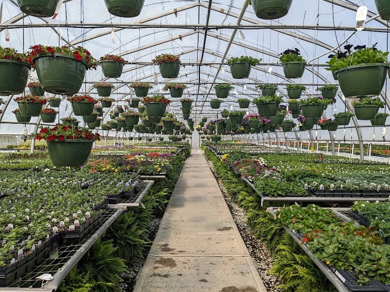 Whipker's Market & Greenhouse - Image 1