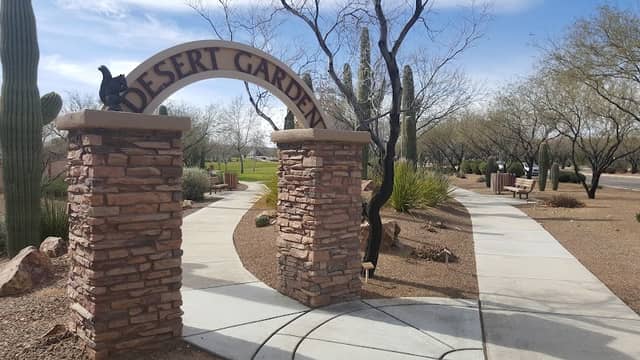 Desert Garden - Image 1
