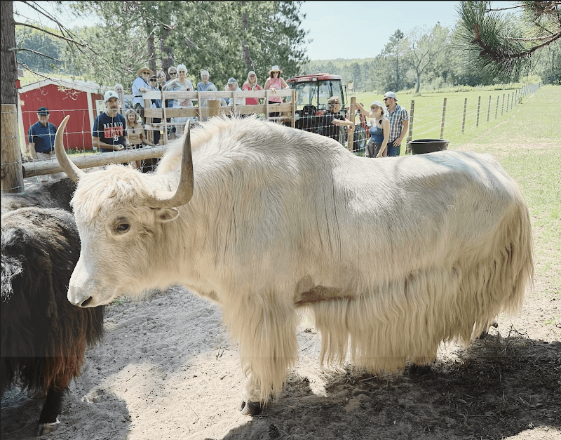 Wilderness Valley Farm - Image 1