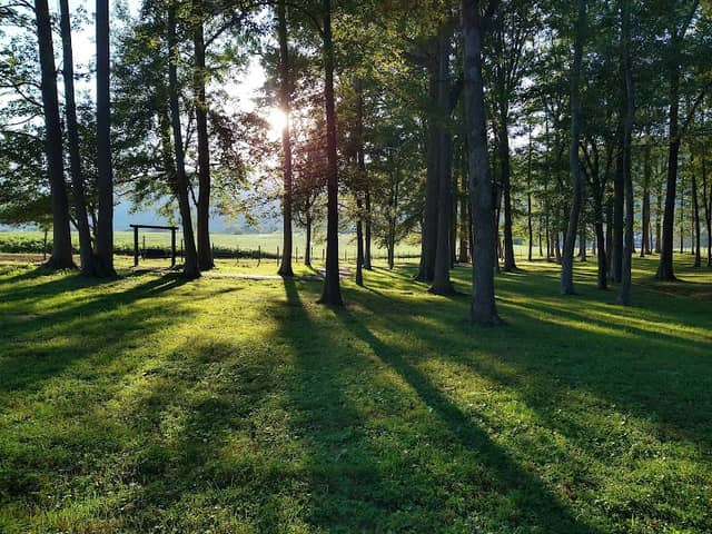 Marion County Park - Image 2