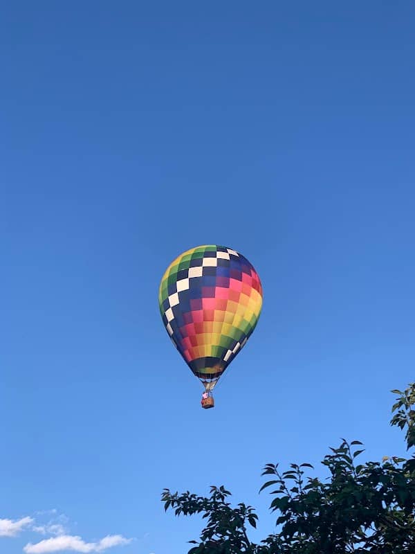 Stafford Park - Image 2