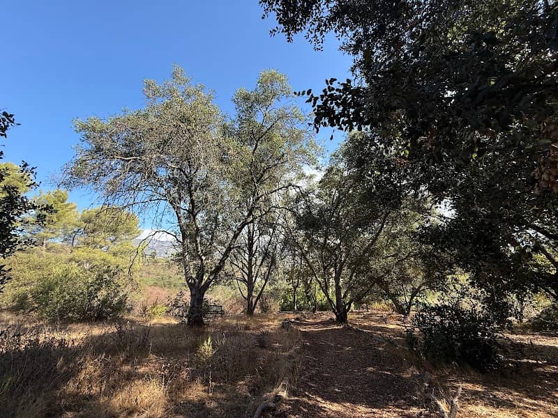 California Garden - Image 1