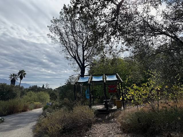 California Garden - Image 2