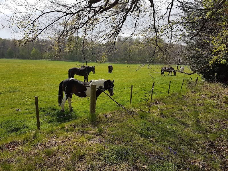 Westgate Park - Image 1
