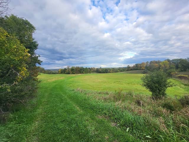 Scenic Hudson’s Long View Park - Image 2