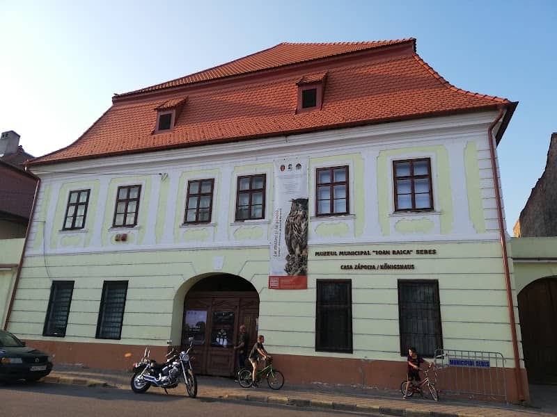 Ioan Raica Municipal Museum - Image 1