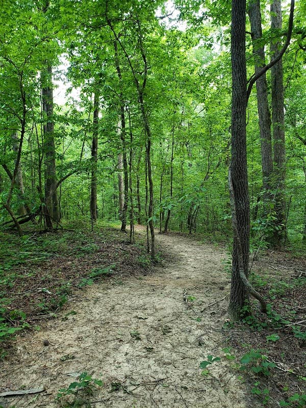 Campbellton Creek Nature Park - Image 1