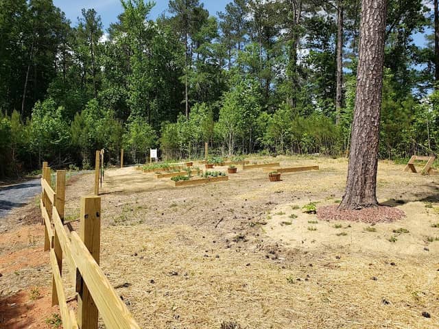 Campbellton Creek Nature Park - Image 2