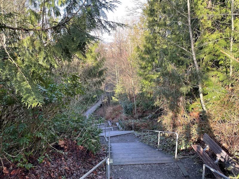 Zimmerman Hill Climb - Image 2