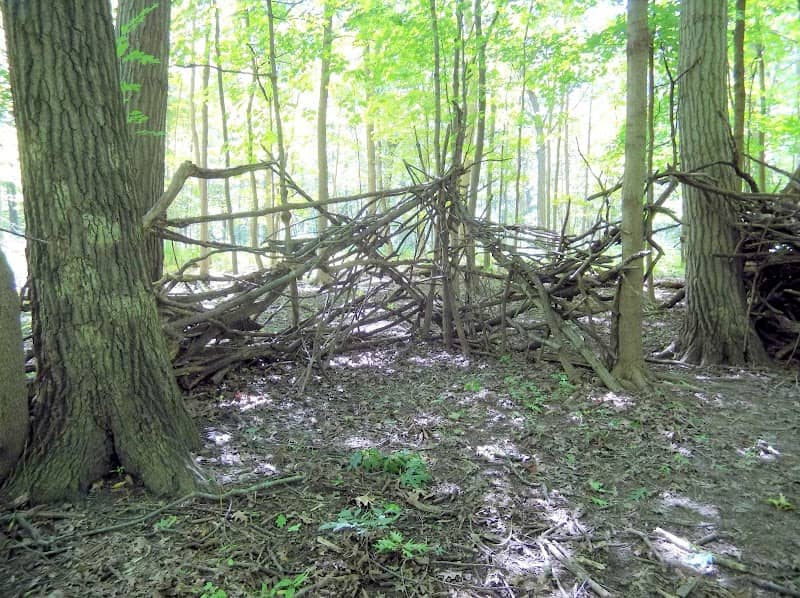Chipilly Woods - Image 2