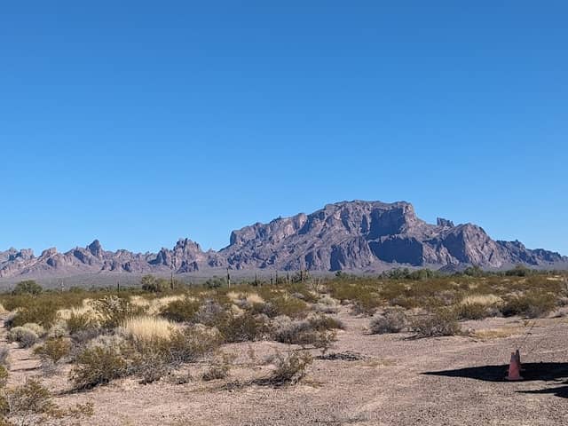 Palm Canyon, Kofa N.W.R. - Image 3