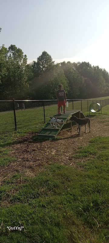 Cane Creek Dog Park - Image 1