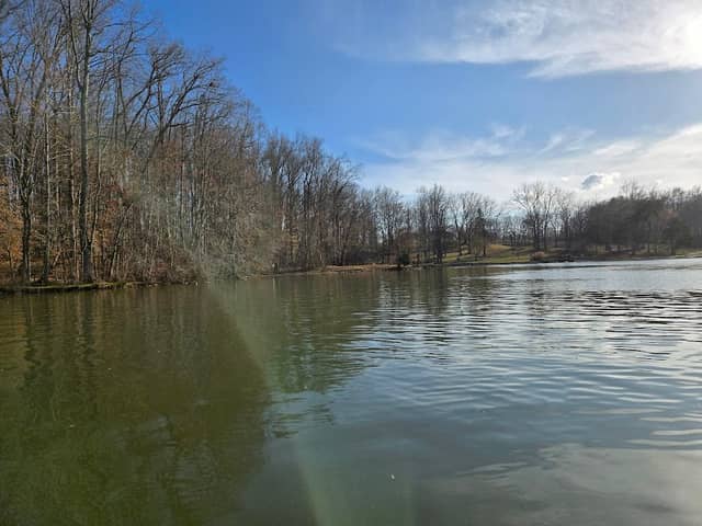 Cane Creek Dog Park - Image 2