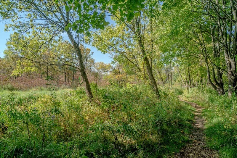 Peninsula Wetlands - Image 2