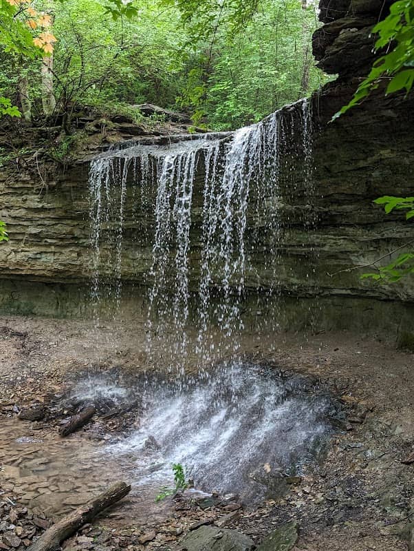 Lower Cascades Park - Image 2