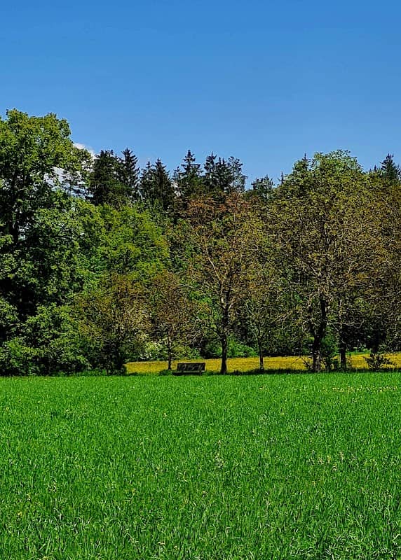 Weißweinbank - Image 2