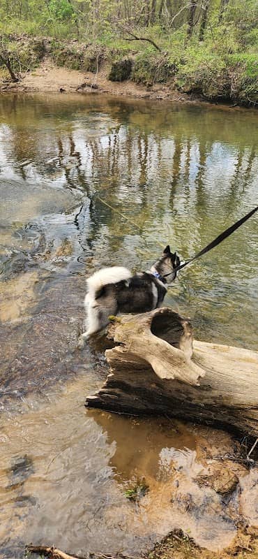 Pelham Park Pavilion - Image 2