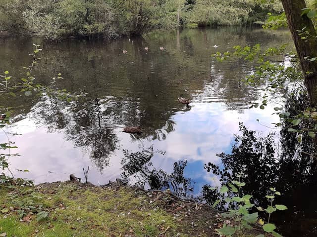 Klönschnackbank Heidbergpark - Image 1