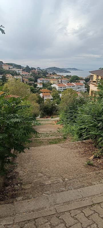 Great view at stairs - Image 1
