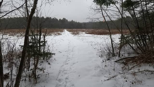 Gendron Field - Image 1
