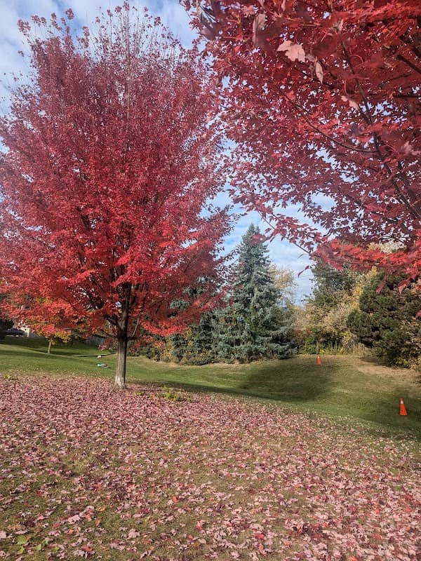 Lord Elgin Park - Image 1