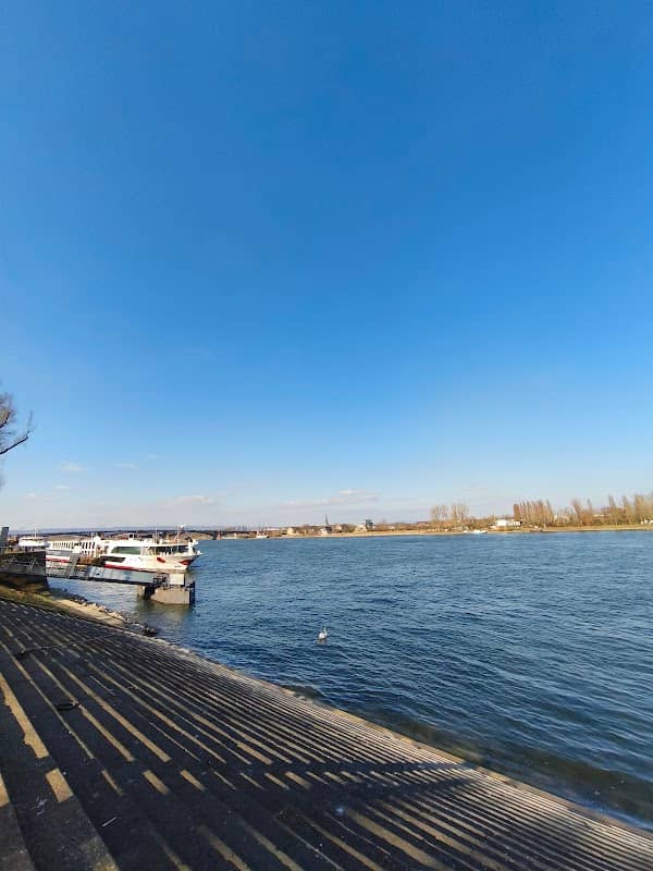 Treppen am Rheinufer - Image 1