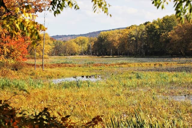 Brick Pond - Image 3