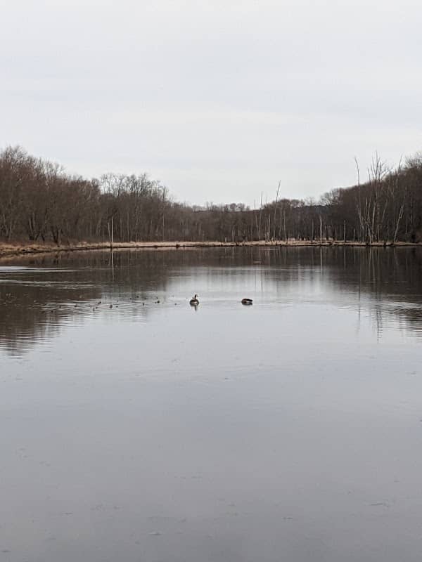 Brick Pond - Image 1
