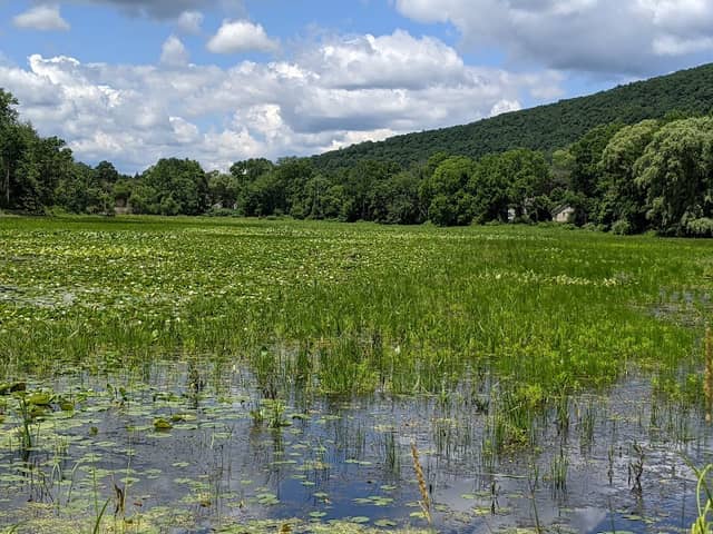 Brick Pond - Image 1