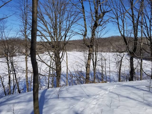 New Fane Trail Area - Image 1