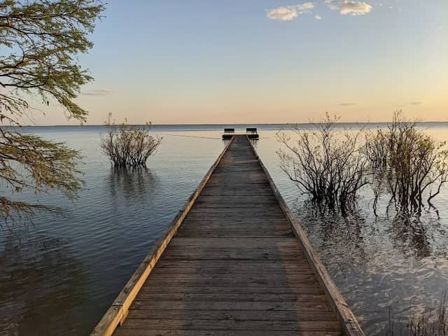 Pettigrew State Park - Image 1