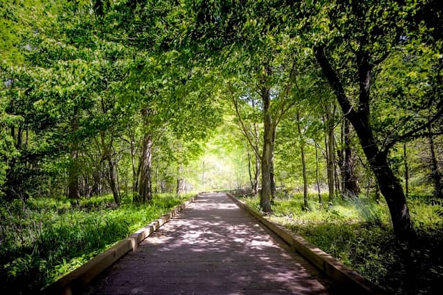 Pettigrew State Park - Image 3