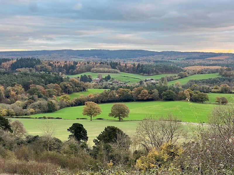 Newlands Corner - Image 3