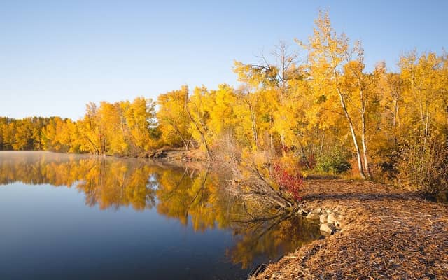 Irene Rinehart Riverfront Park - Image 2