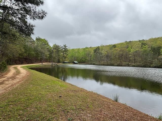 Demopolis lake fishing shelter - Image 1