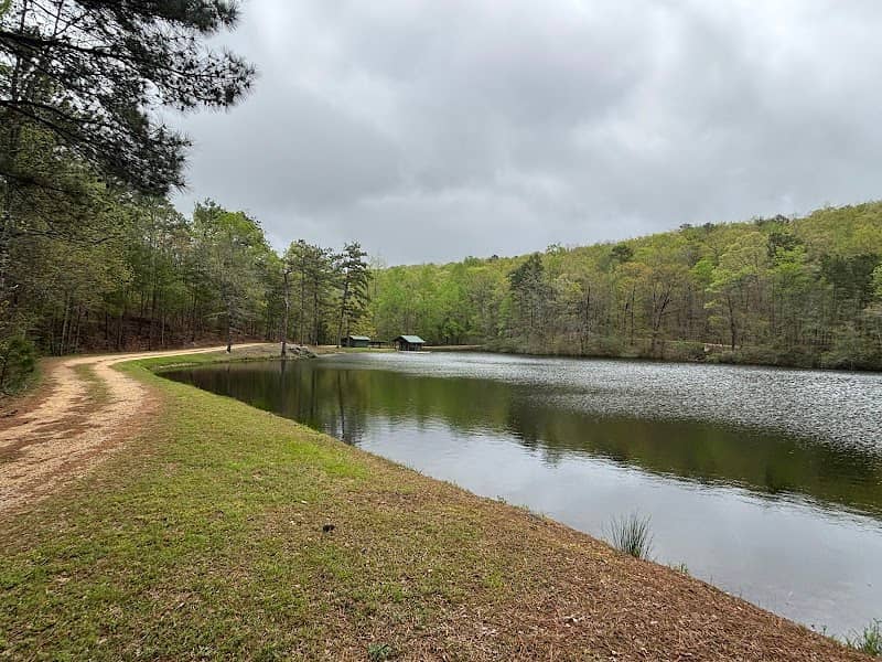 Demopolis lake fishing shelter - Image 1