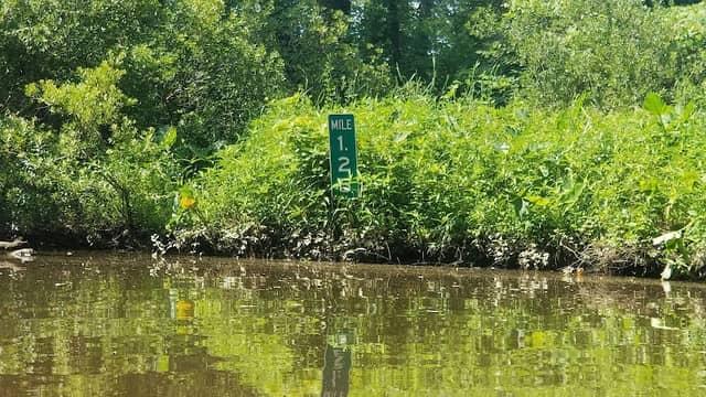 McIntosh Park - Image 1