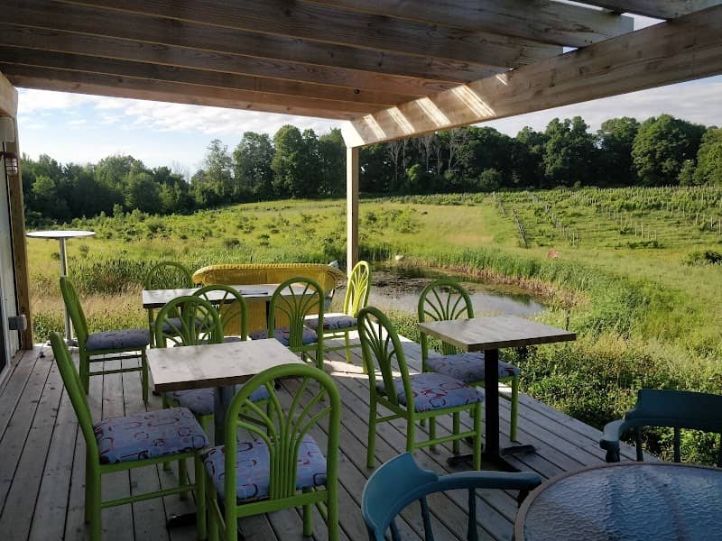 WaterFire Vineyards - Torch Lake Winery - Image 3