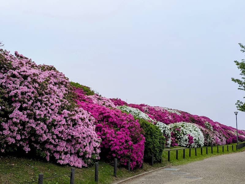 Asakayama Park - Image 1