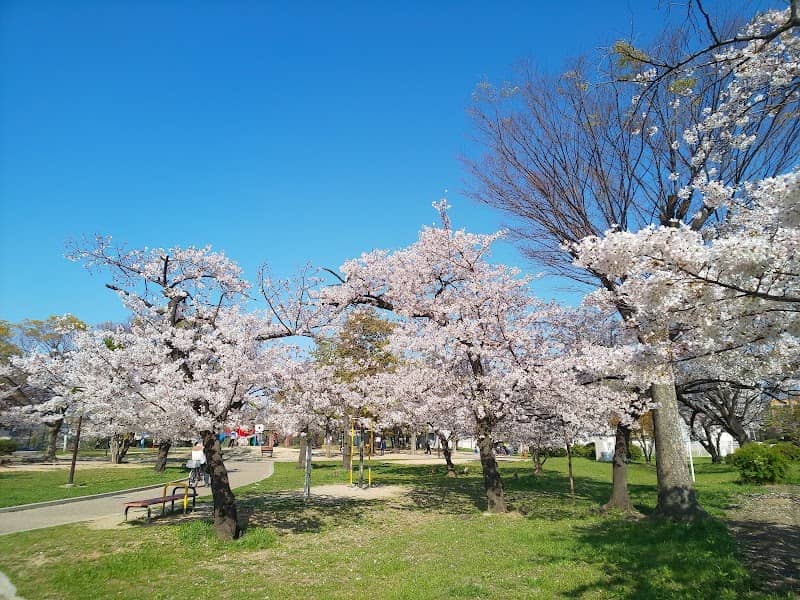 Asakayama Park - Image 3