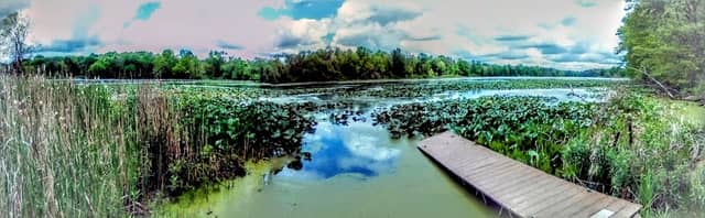 Mogadore Reservoir - Congress Rd. Boat Ramp and Hunting Grounds - Image 1