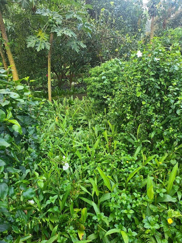 Flower Garden - Image 2