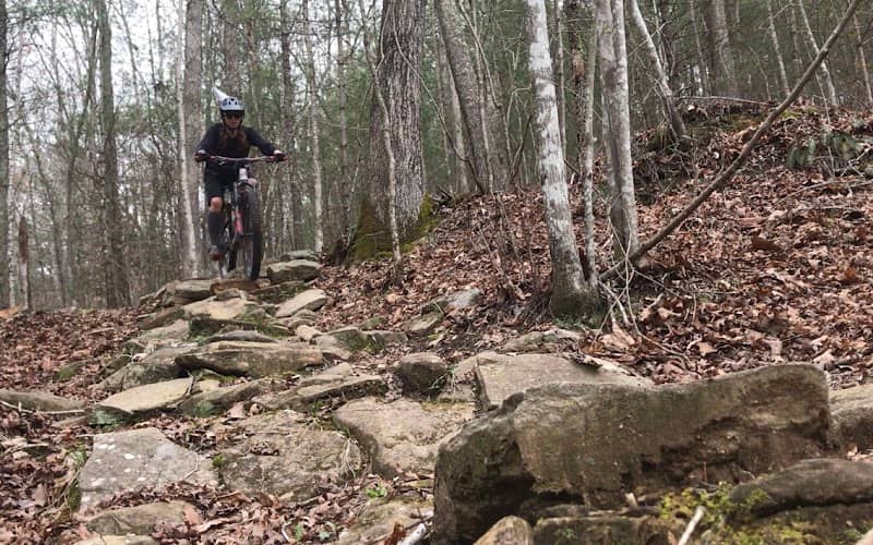 Ridgeway mountain bike trail - Image 1