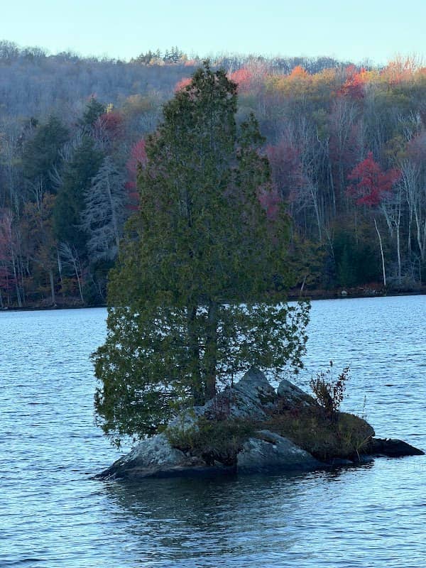 Double Tree Island - Image 2