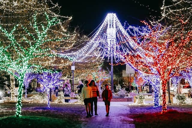 Macon Christmas Light Extravaganza - Image 1