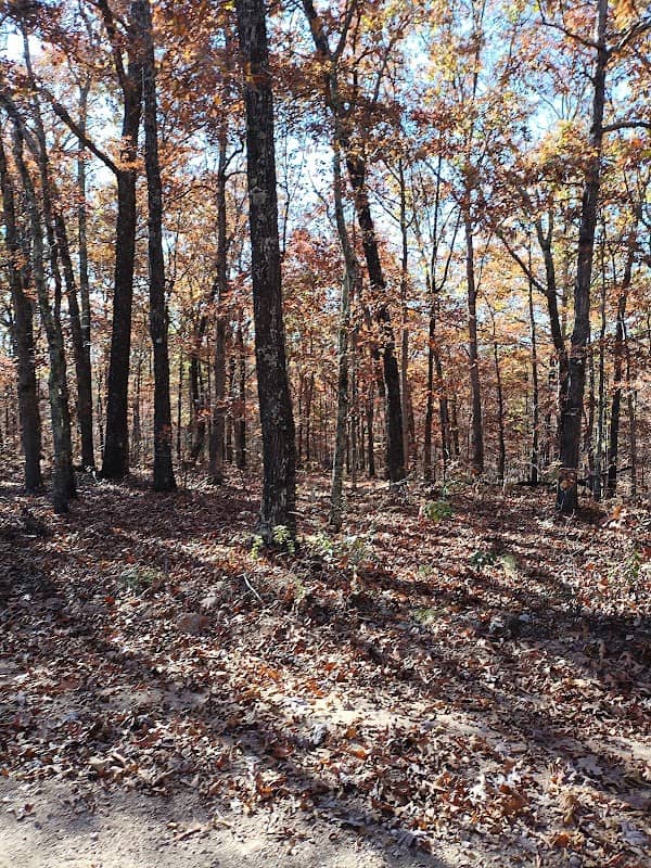 Devils Backbone Wilderness - Image 1