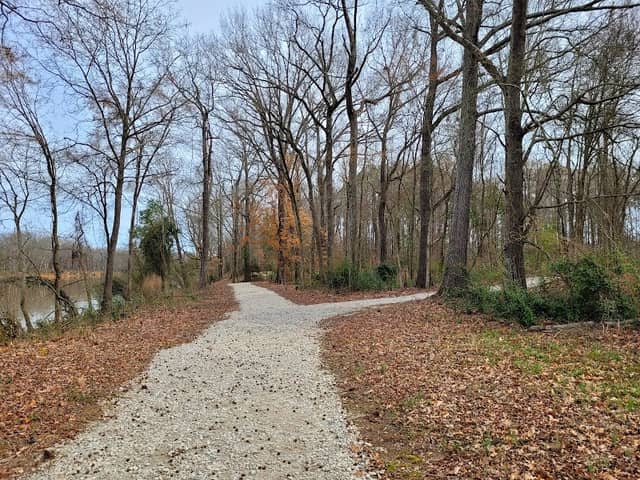 Lillington River Park - Image 1